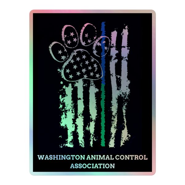 Holographic stickers - Image 3